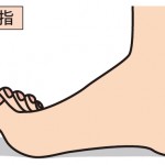 健康を支える足の指